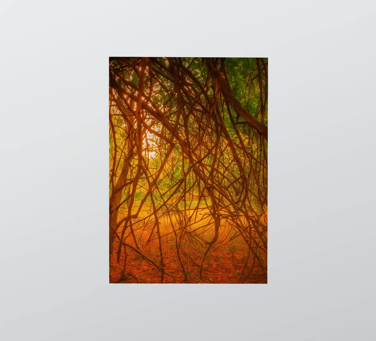 tree branches hanging down to the ground sticker by PASMING