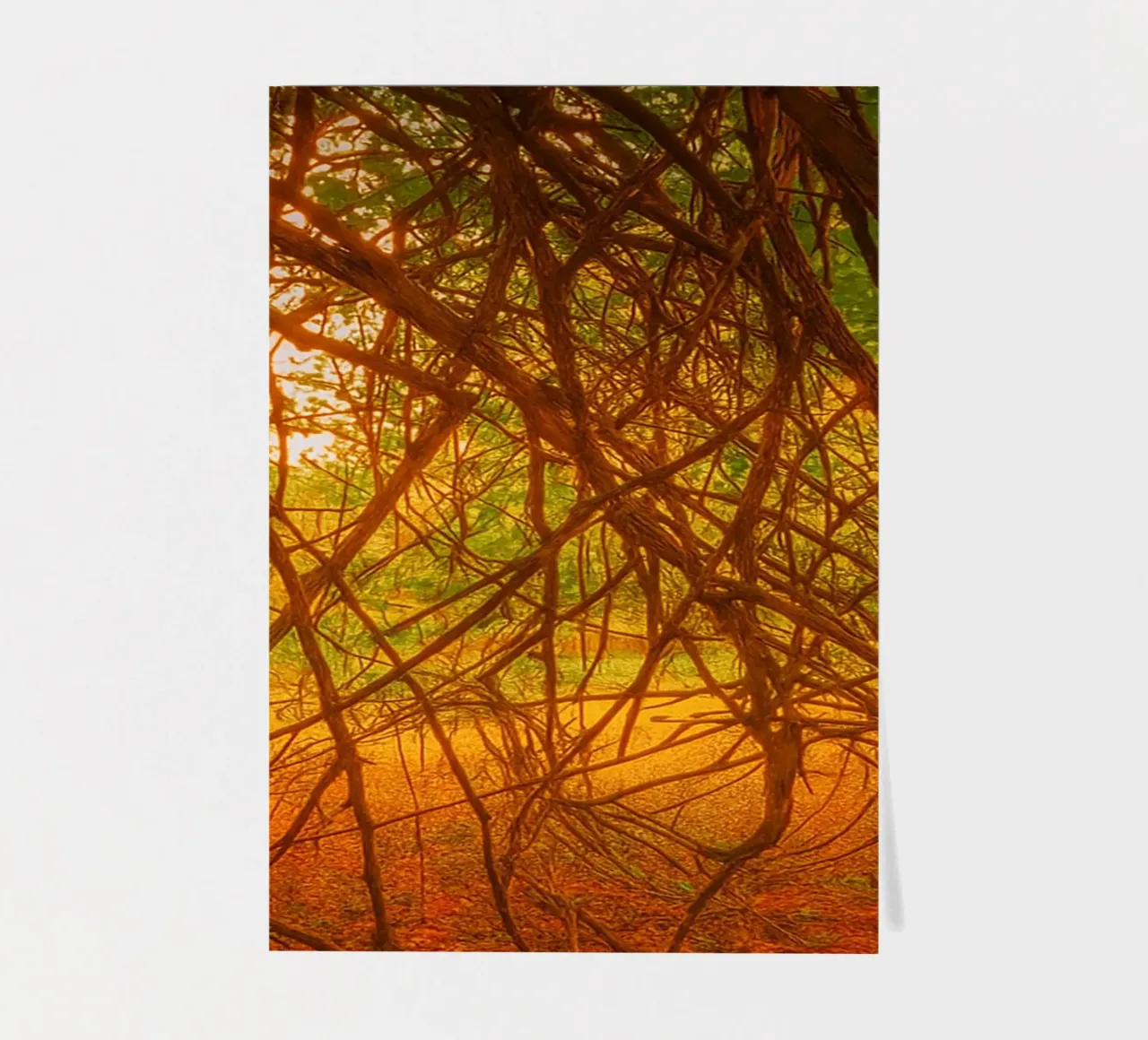 tree branches hanging down to the ground sticker sheet by PASMING
