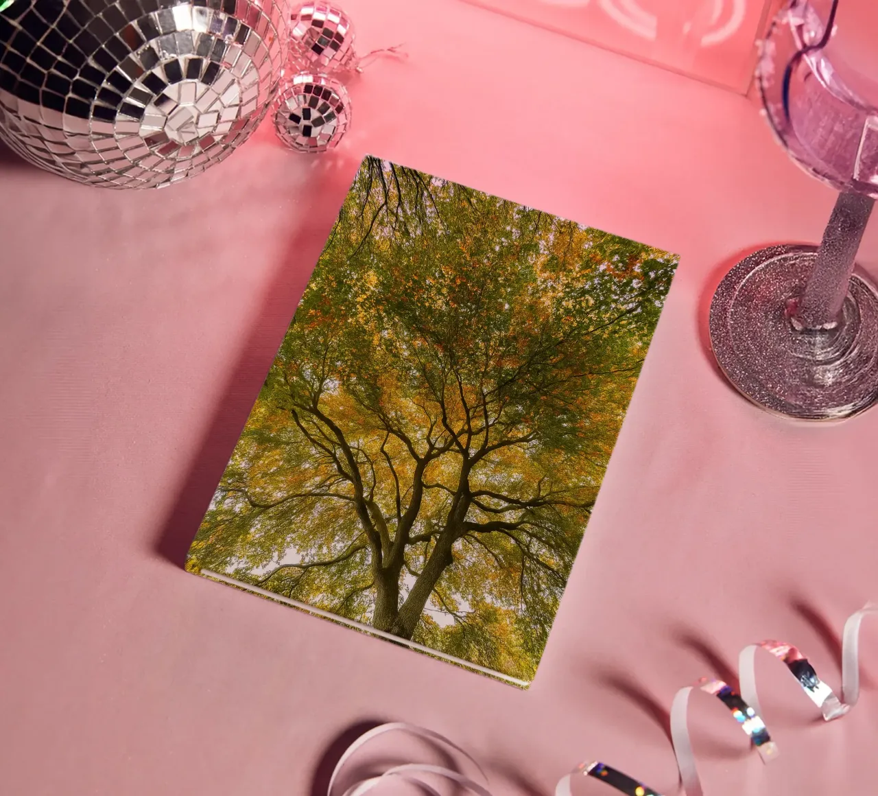 arbres vue de la canopée carnet de notes de PASMING