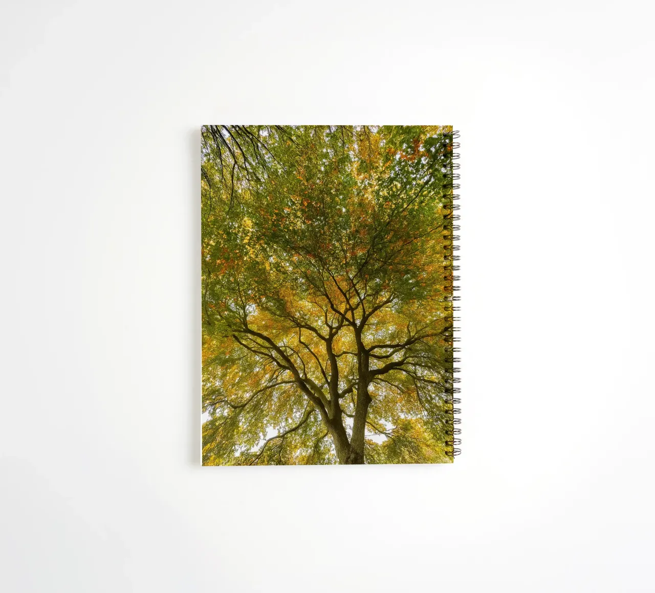 arbres vue de la canopée carnet à spirale de PASMING