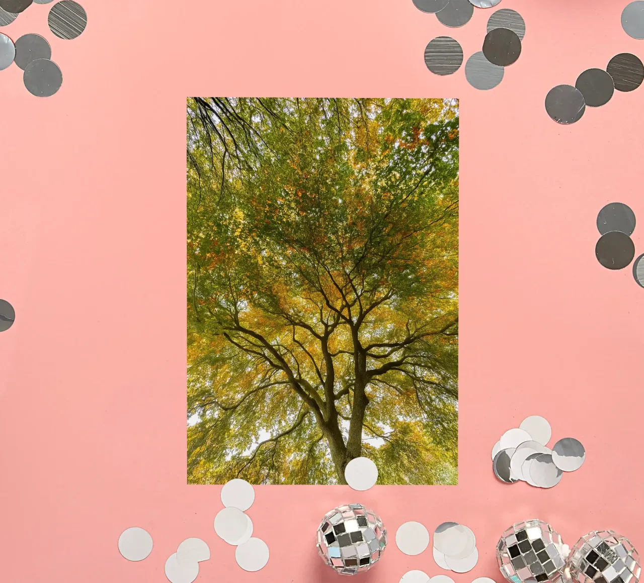 Baumkronenansicht Sticker von PASMING