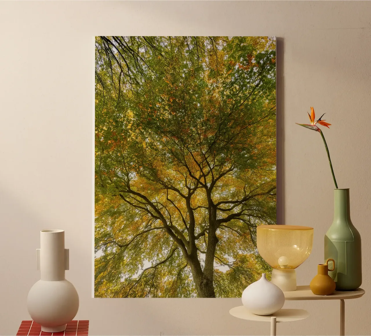 trees canopy view canvas by PASMING