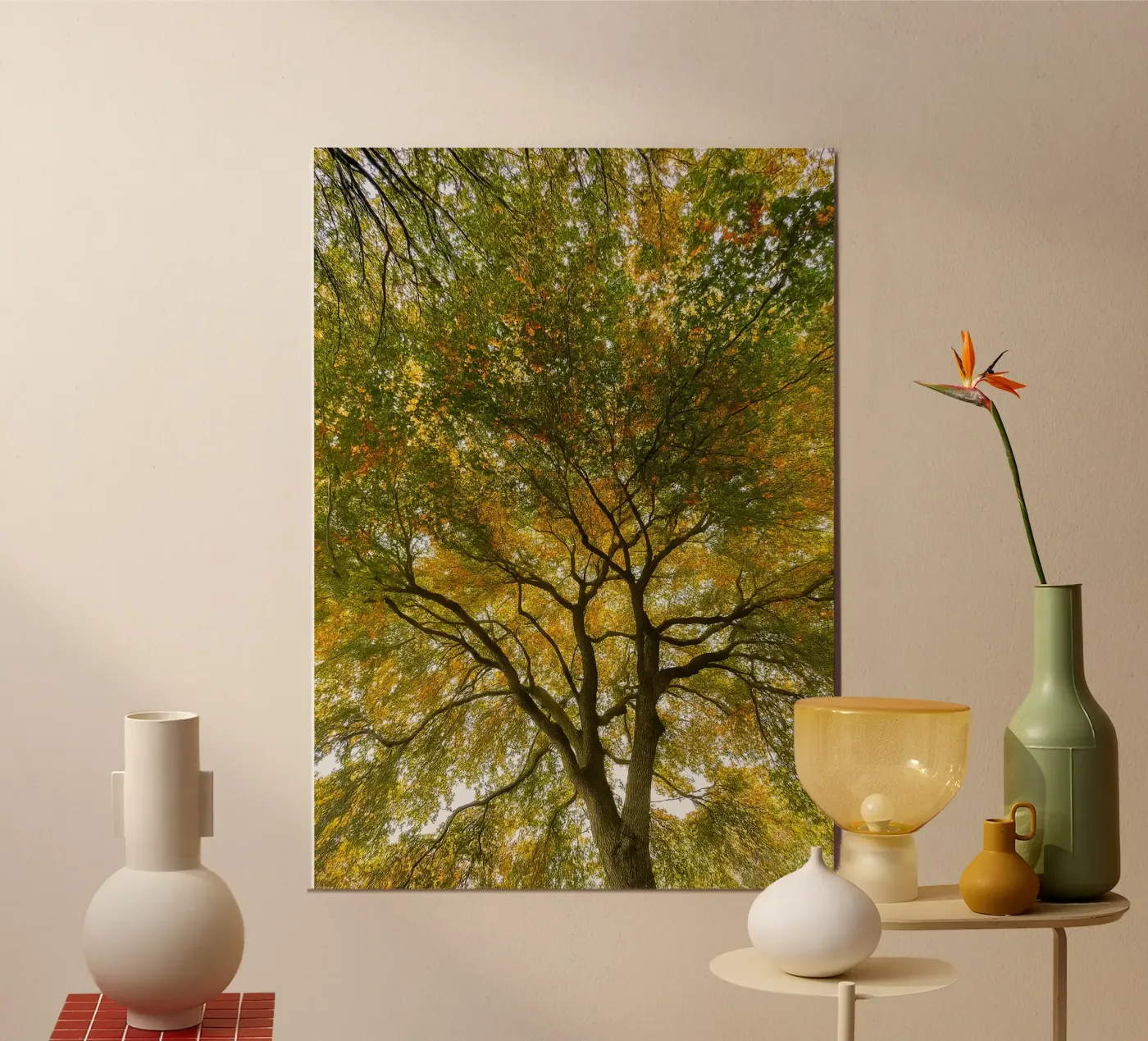 trees canopy view poster by PASMING