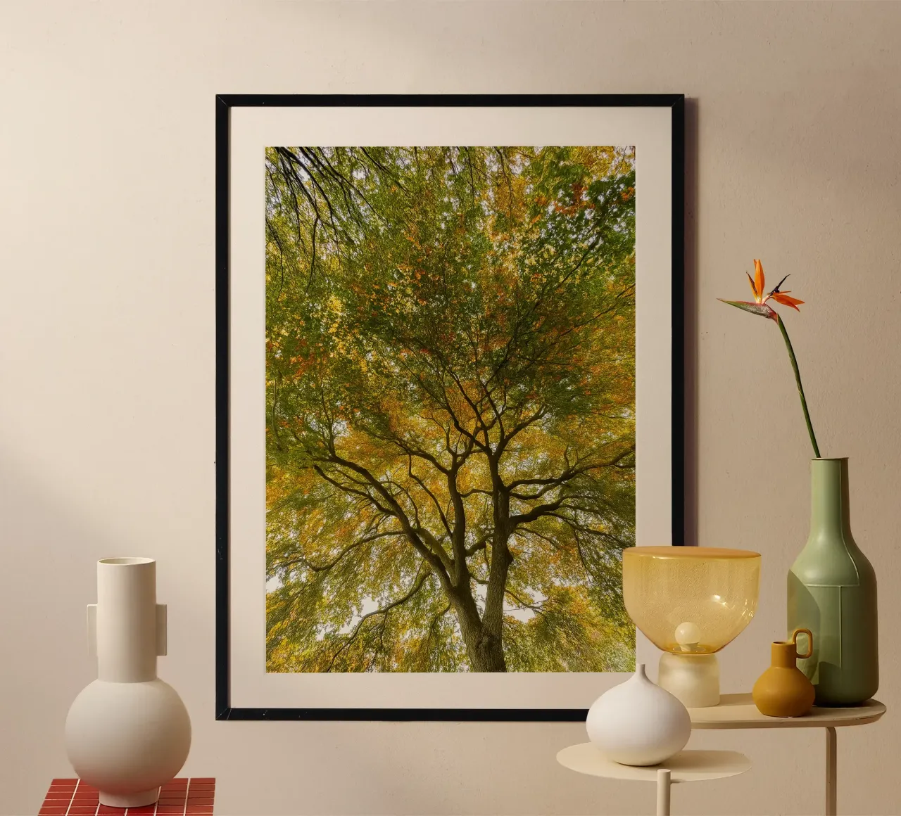 alberi vista baldacchino carta hahnemühle da PASMING