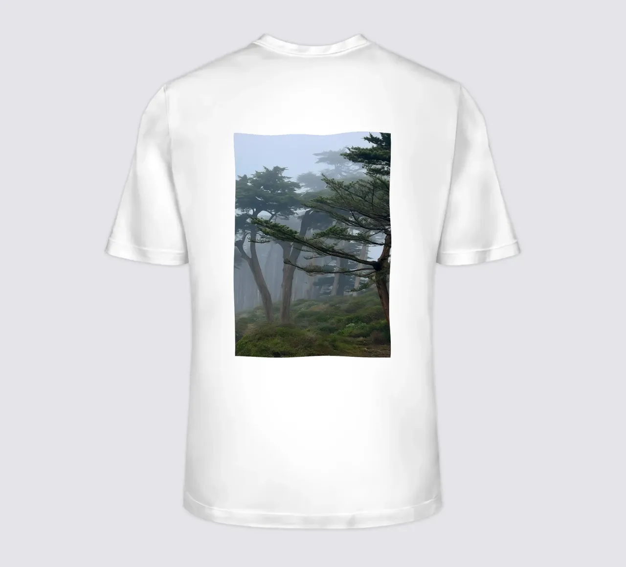 trees on the edge of the forest t-shirt by PASMING