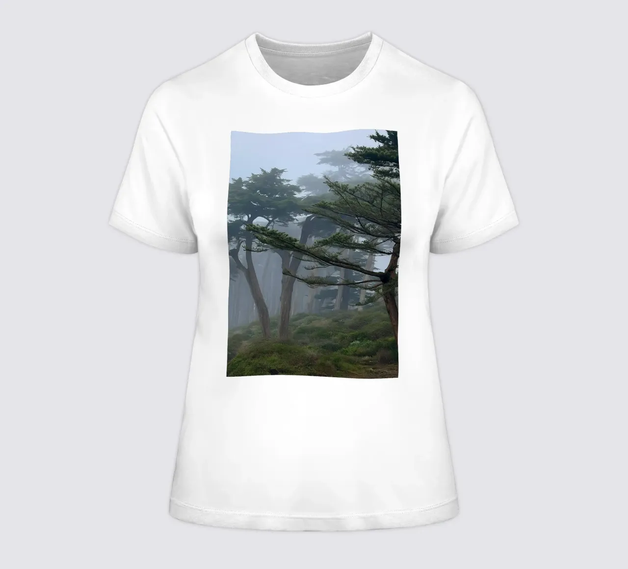 trees on the edge of the forest women's fitted t-shirt by PASMING