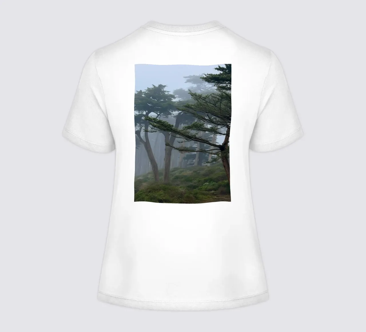 trees on the edge of the forest women's fitted t-shirt by PASMING