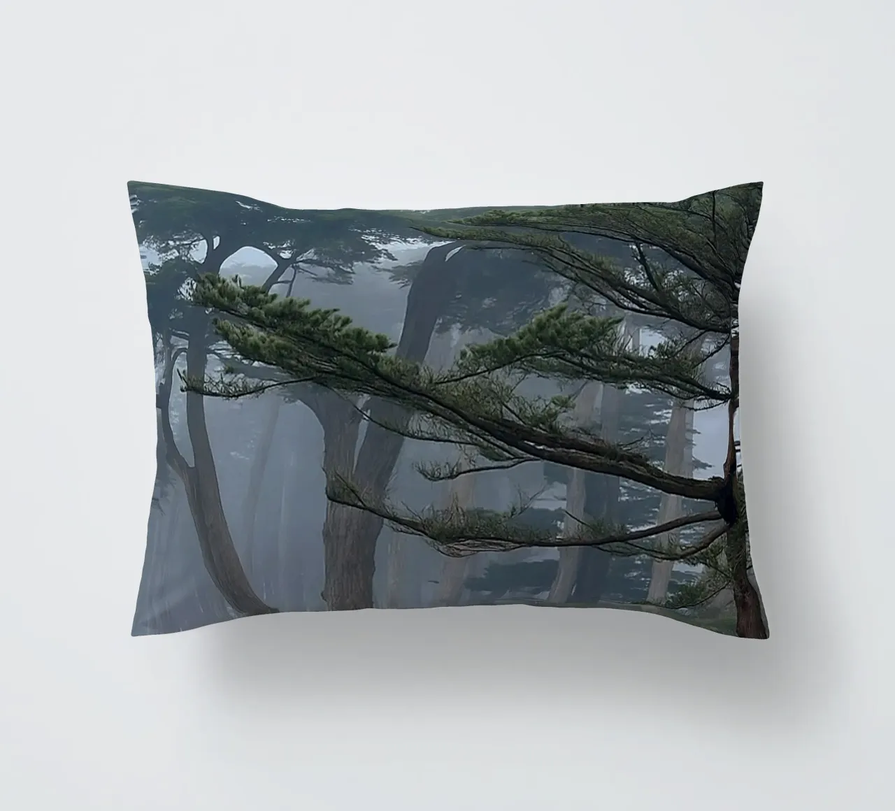 bomen aan de rand van het bos kussen van PASMING