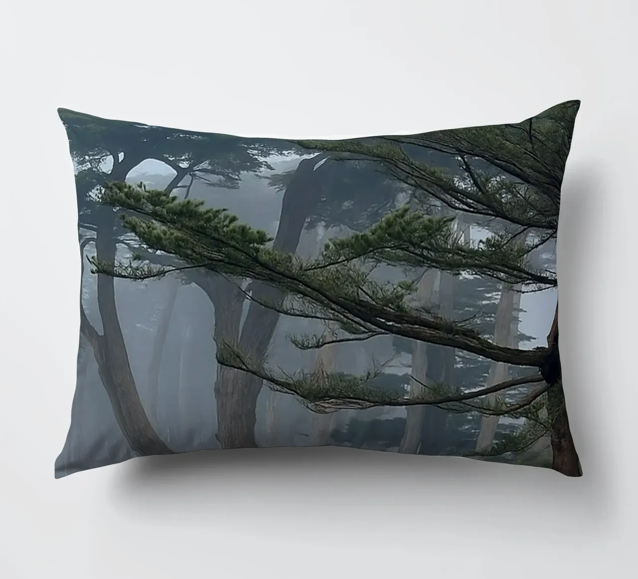 bomen aan de rand van het bos kussen van PASMING