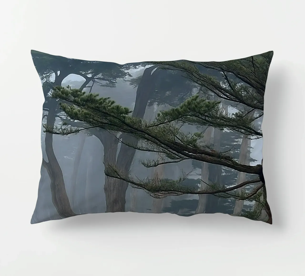 bomen aan de rand van het bos kussen van PASMING