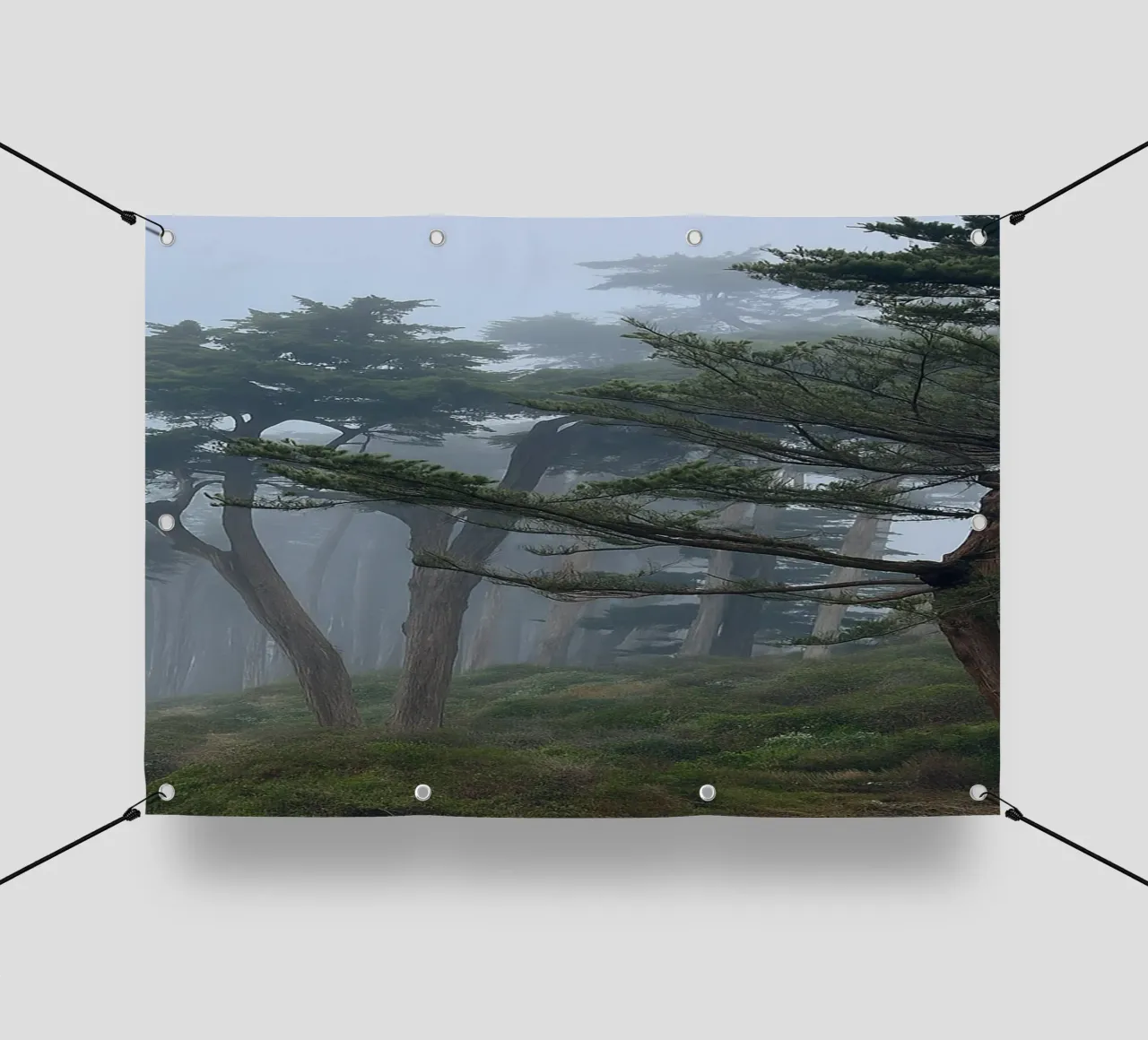 alberi ai margini della foresta telo in pvc da PASMING