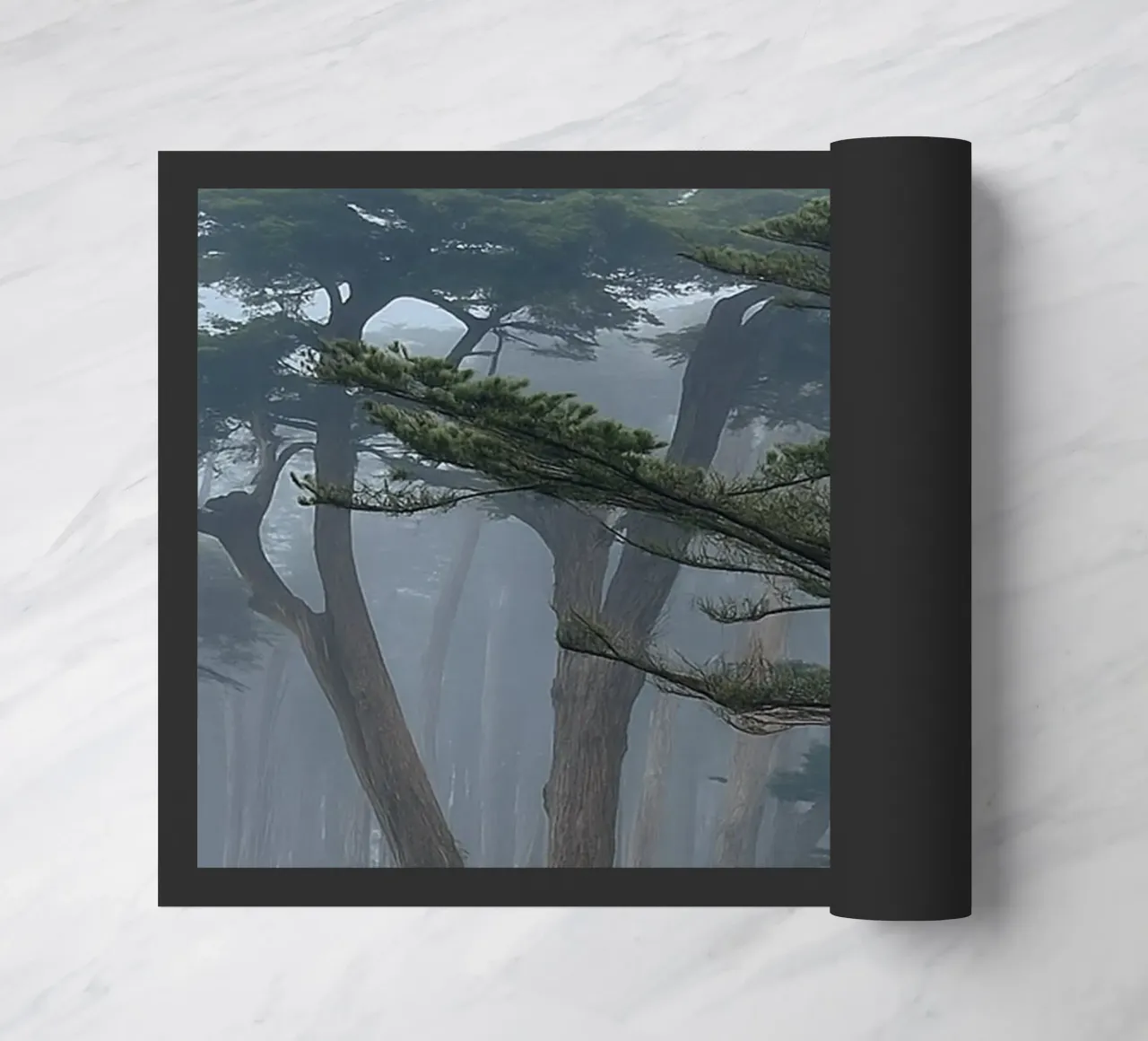 arbres à la lisière de la forêt paillasson de PASMING