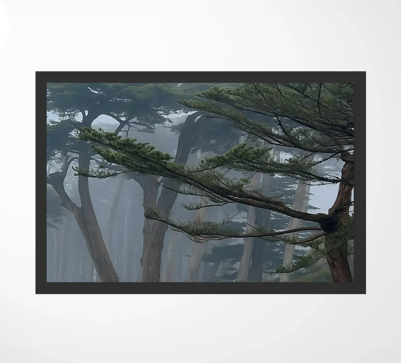 alberi ai margini della foresta zerbino da PASMING