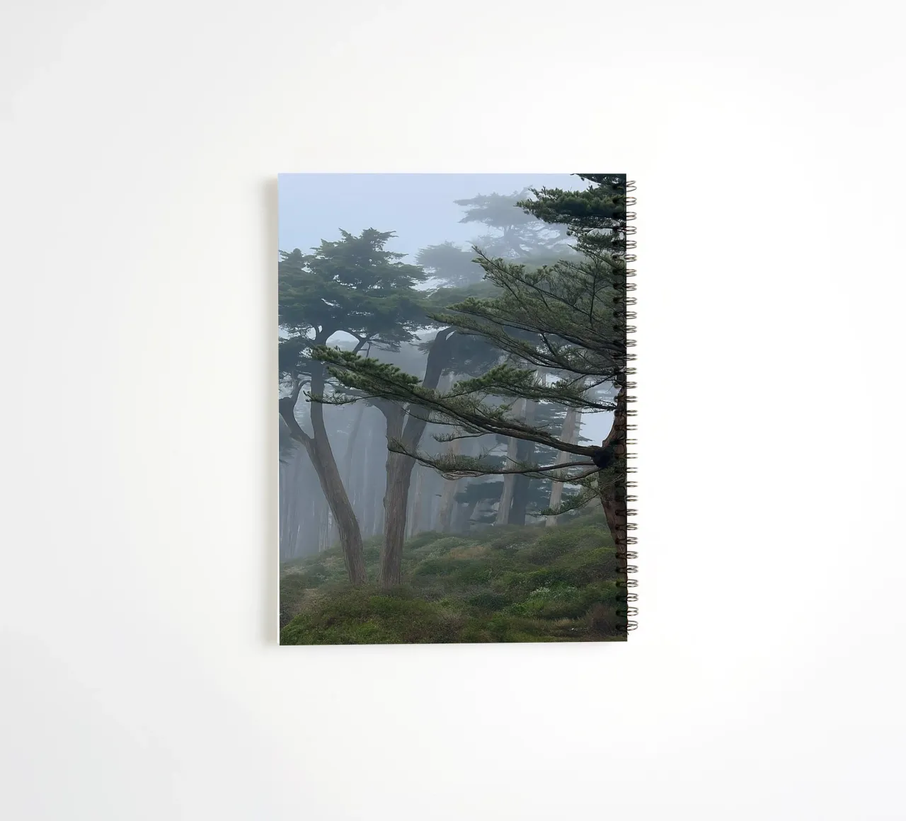 trees on the edge of the forest spiral notebook by PASMING
