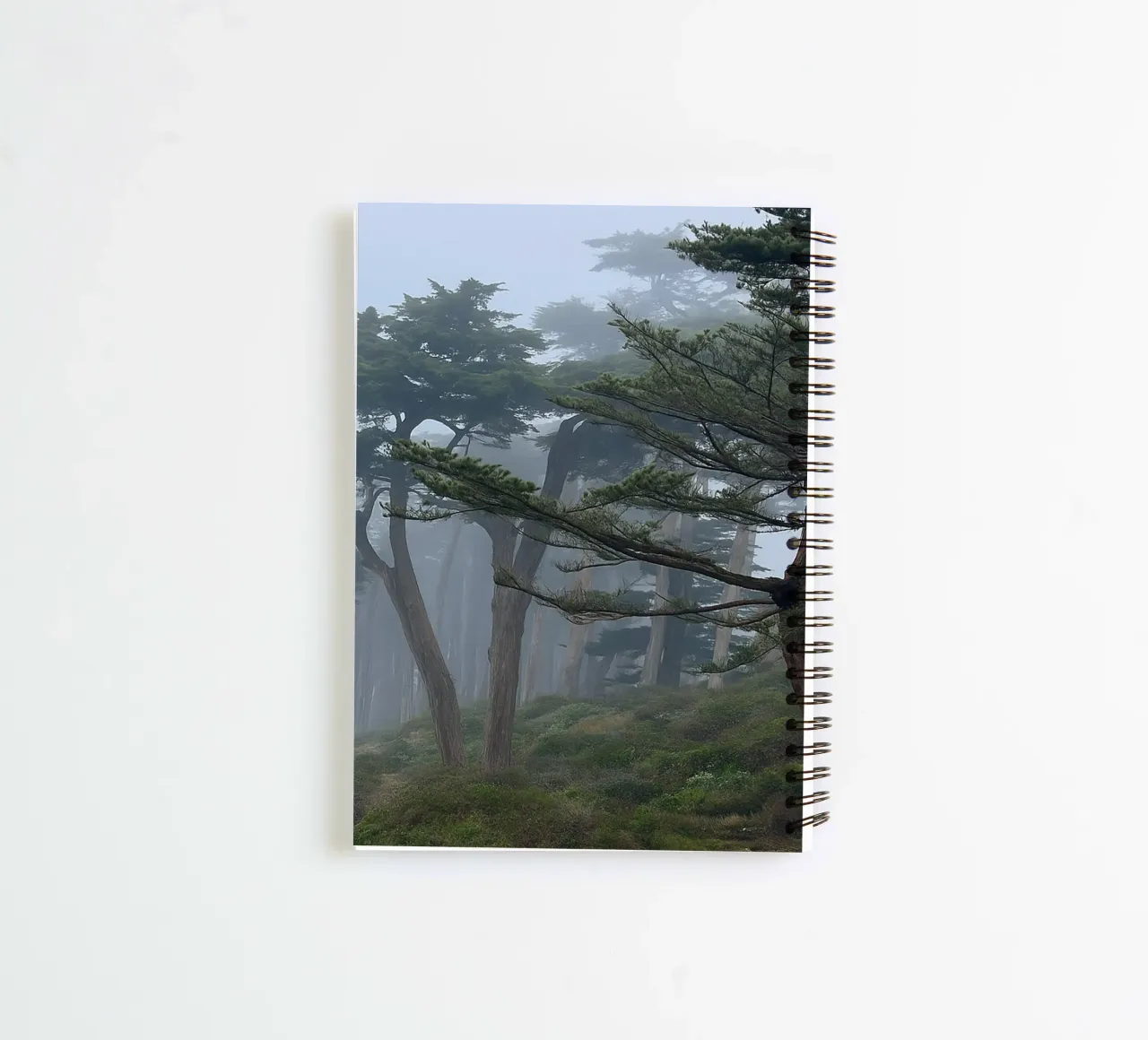 trees on the edge of the forest spiral notebook by PASMING