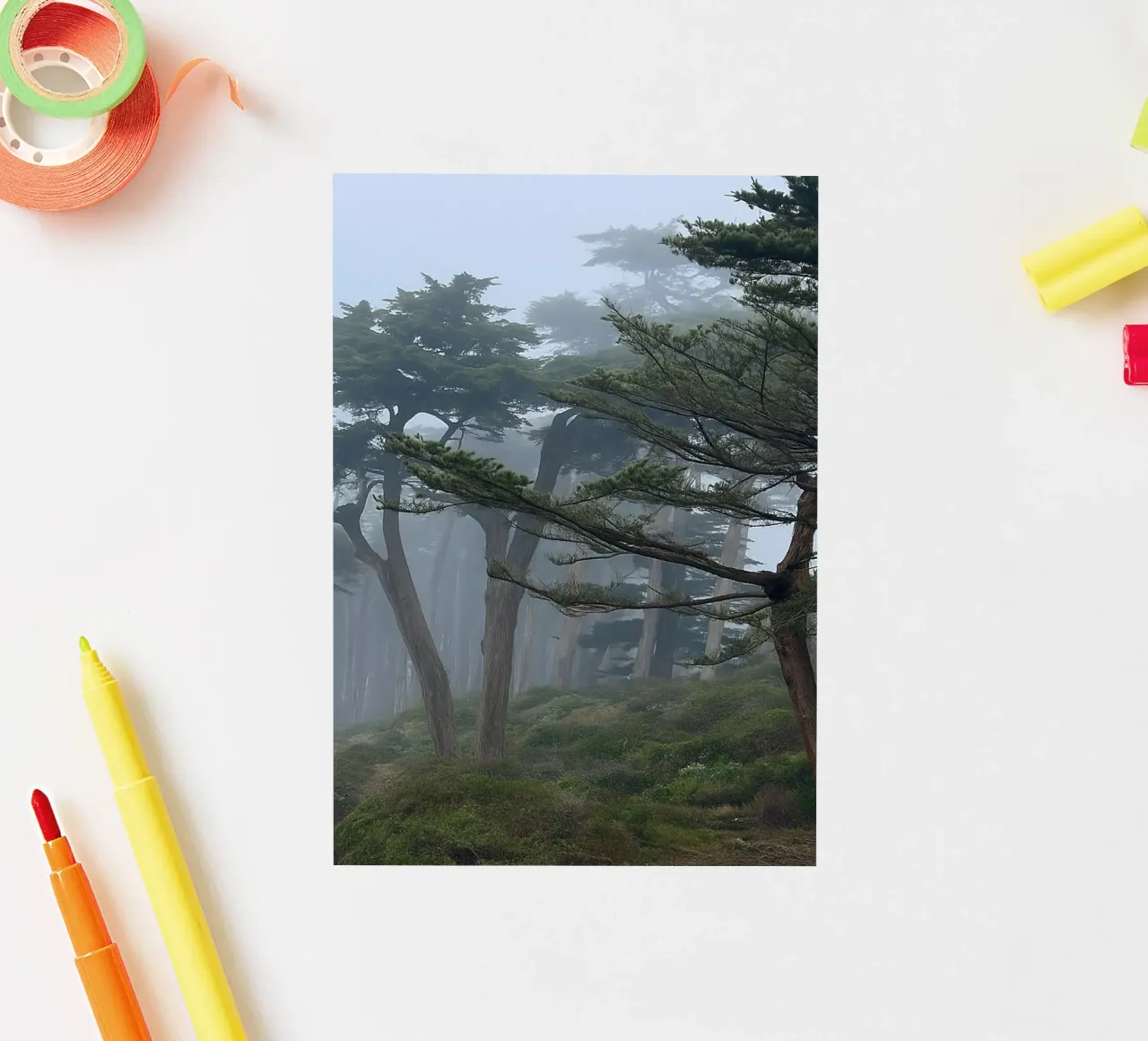 trees on the edge of the forest sticker by PASMING