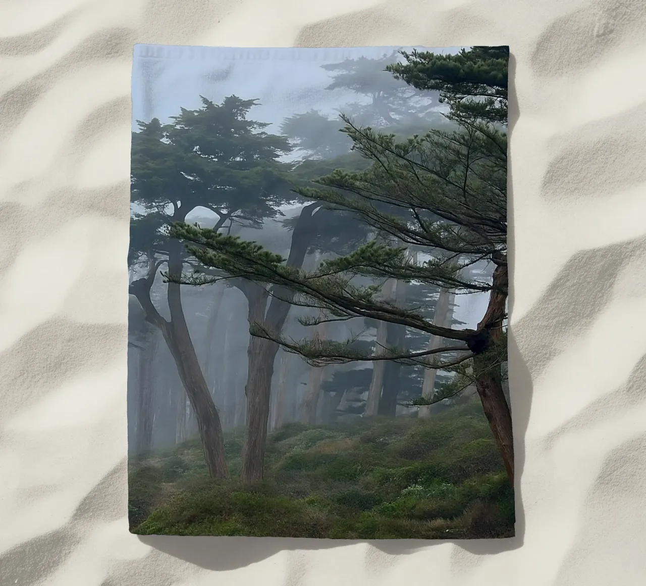trees on the edge of the forest beach towel by PASMING