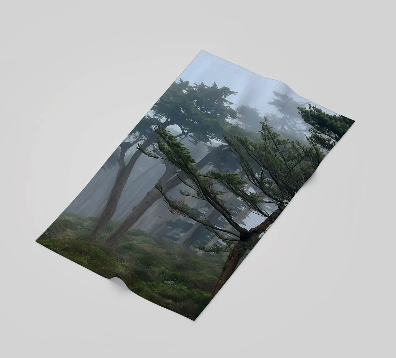 trees on the edge of the forest beach towel by PASMING