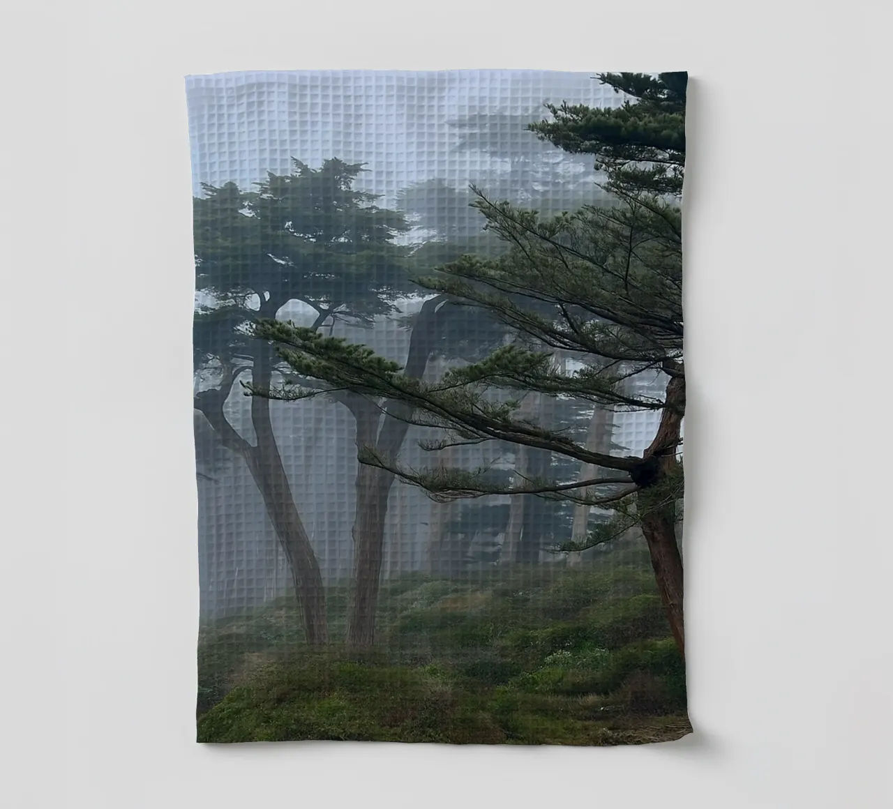 arbres à la lisière de la forêt torchon de PASMING