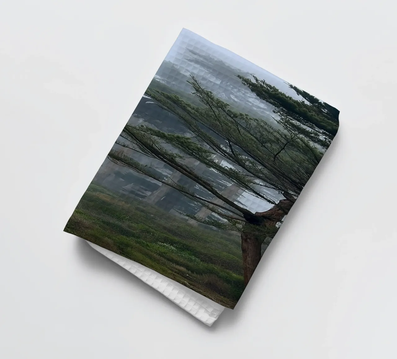 arbres à la lisière de la forêt torchon de PASMING