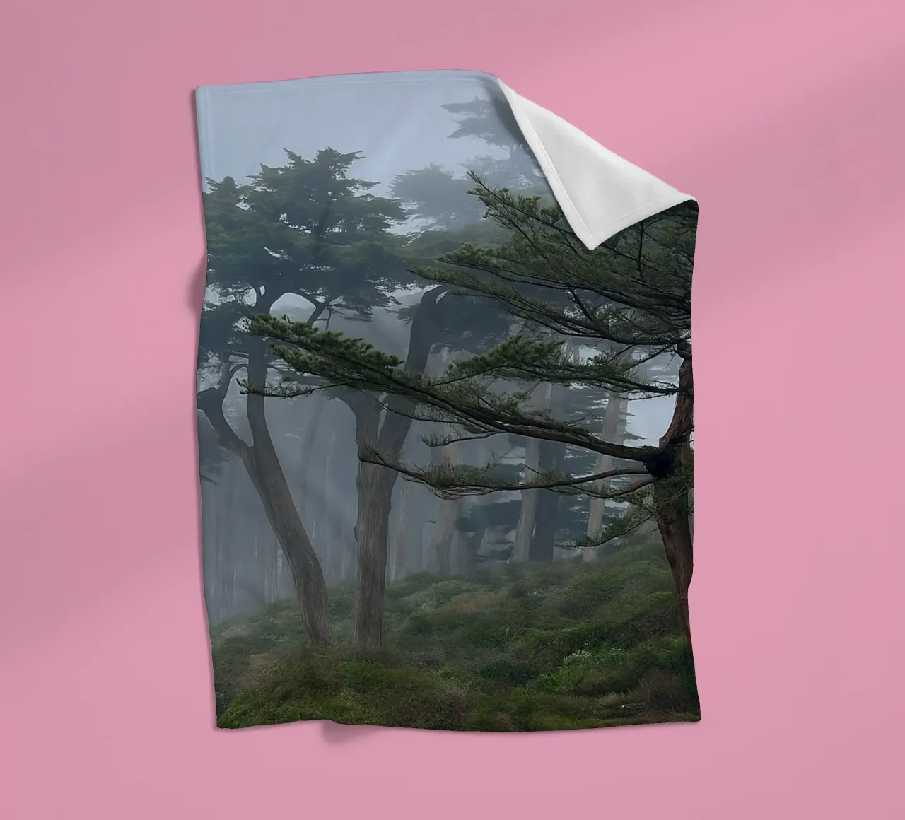 trees on the edge of the forest fleece blanket by PASMING