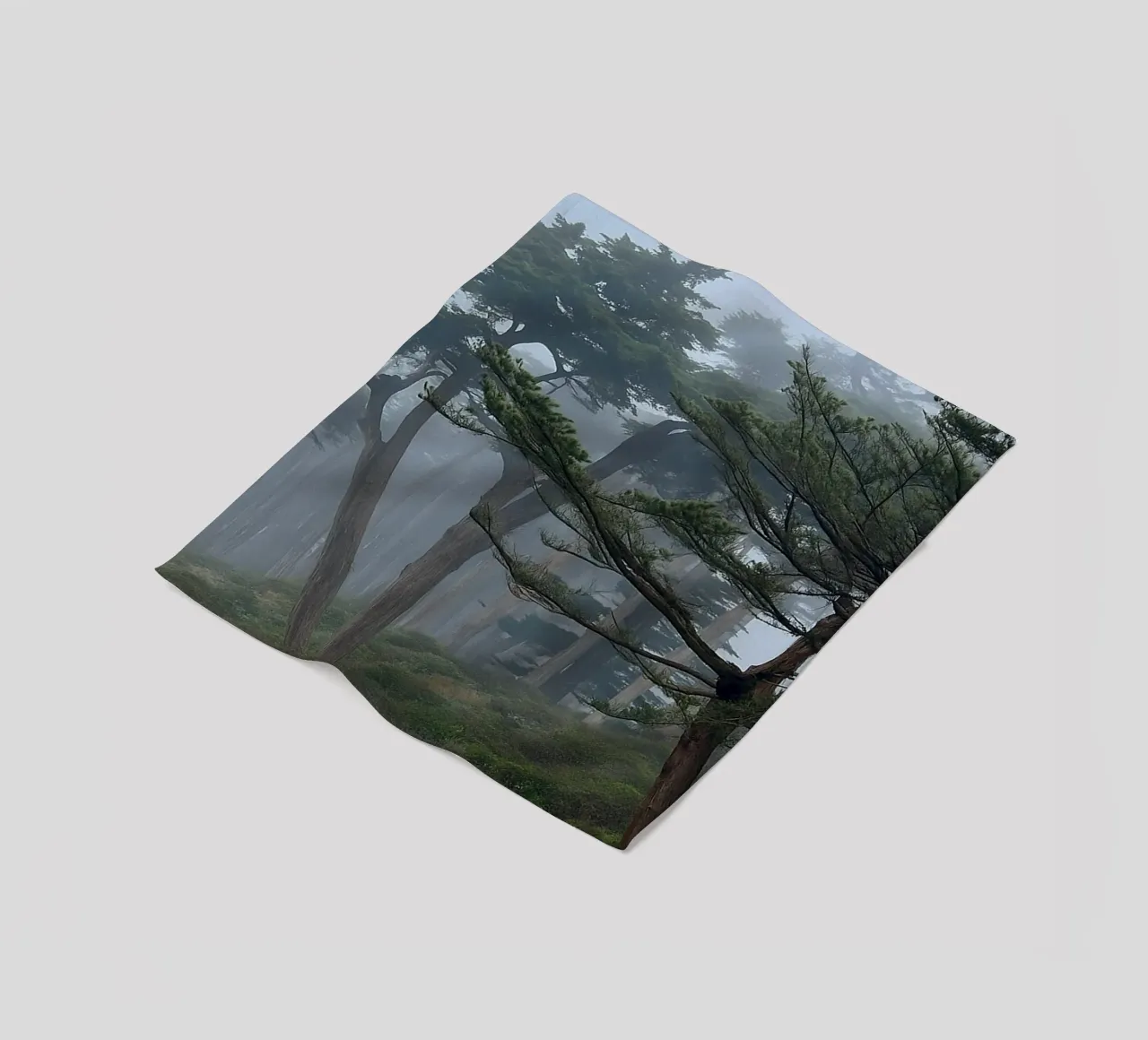 trees on the edge of the forest fleece blanket by PASMING
