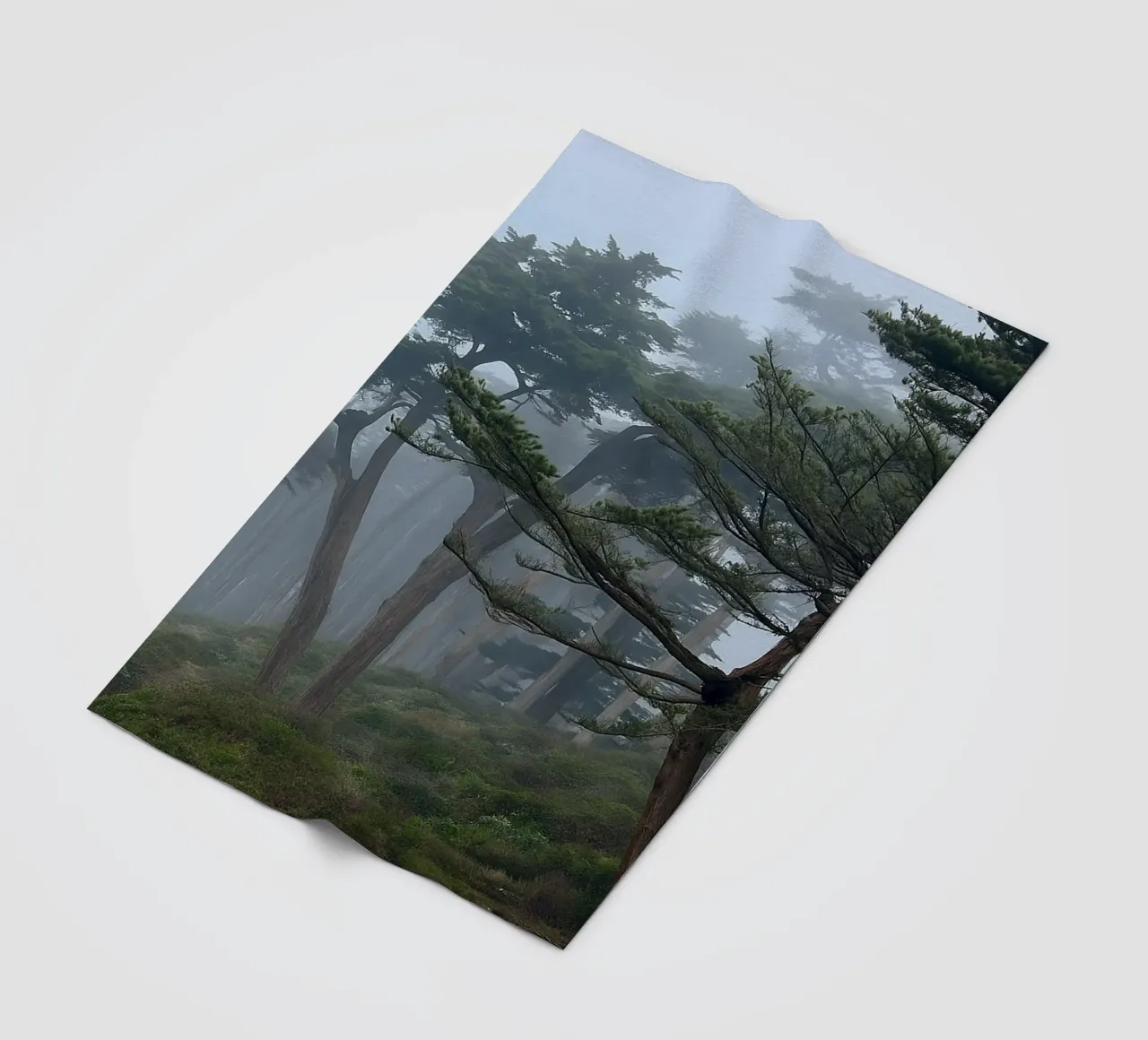 trees on the edge of the forest fleece blanket by PASMING