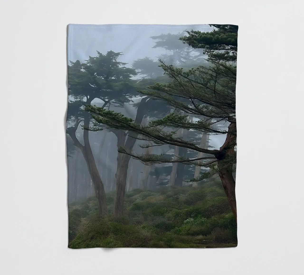 trees on the edge of the forest fleece blanket by PASMING