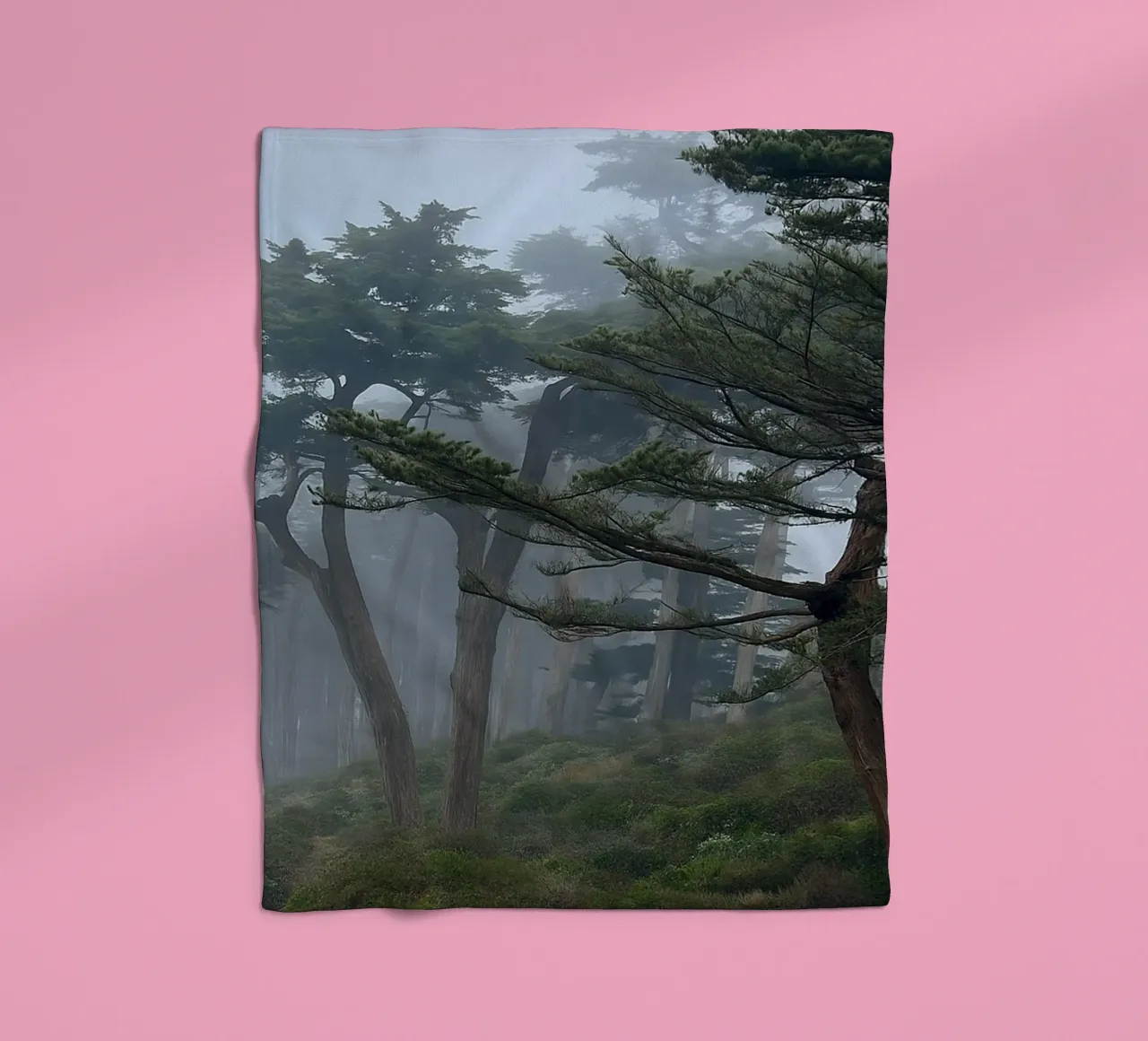 trees on the edge of the forest fleece blanket by PASMING