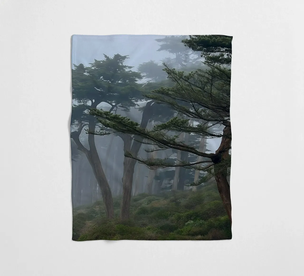 trees on the edge of the forest fleece blanket by PASMING