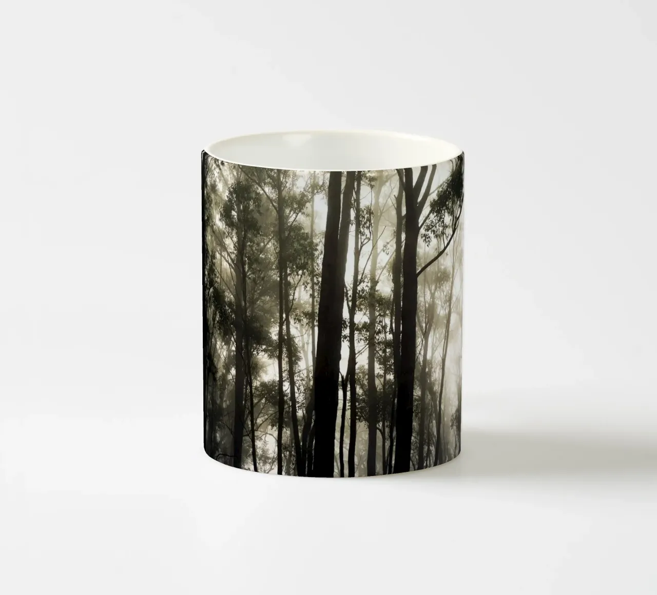 Giungla nel Queensland, Australia tazza in ceramica da art picture