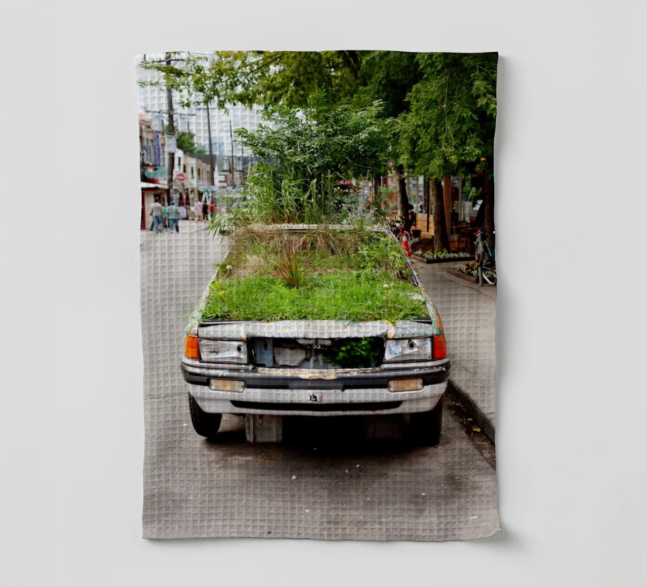 auto ecologica, Toronto, Ontario, Canada canovaccio da cucina da art picture