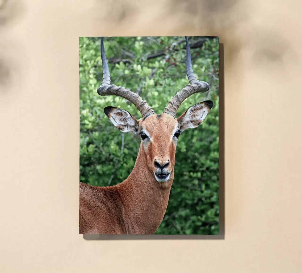 Impressive Antelope with Striking Horns notebook by The Herringstore