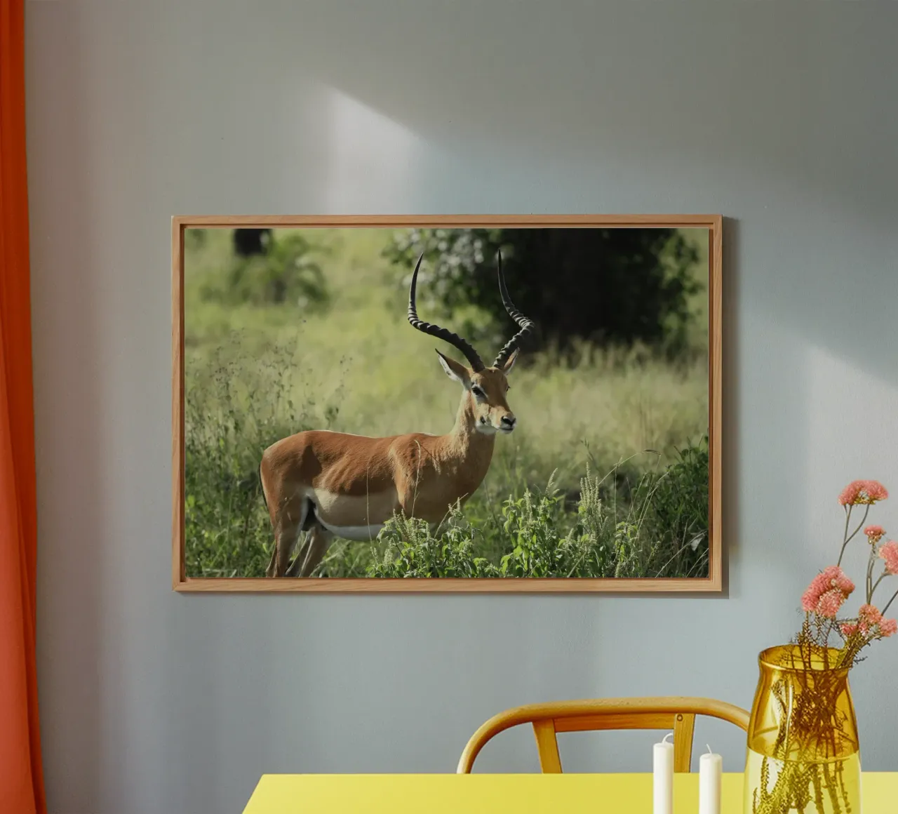 Uno splendido Impala si trova in mezzo a un'erba lussureggiante alluminio dibond da The Herringstore