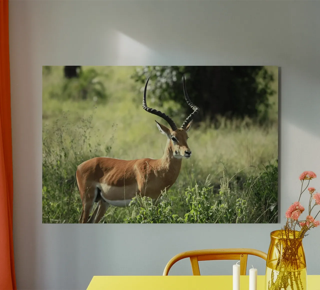 Uno splendido Impala si trova in mezzo a un'erba lussureggiante alluminio dibond da The Herringstore