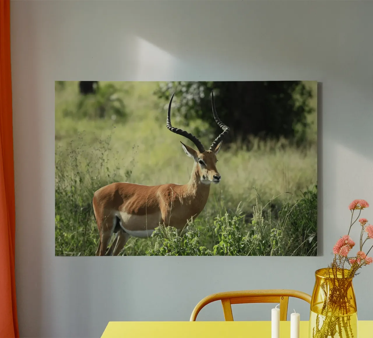 Uno splendido Impala si trova in mezzo a un'erba lussureggiante tela da The Herringstore