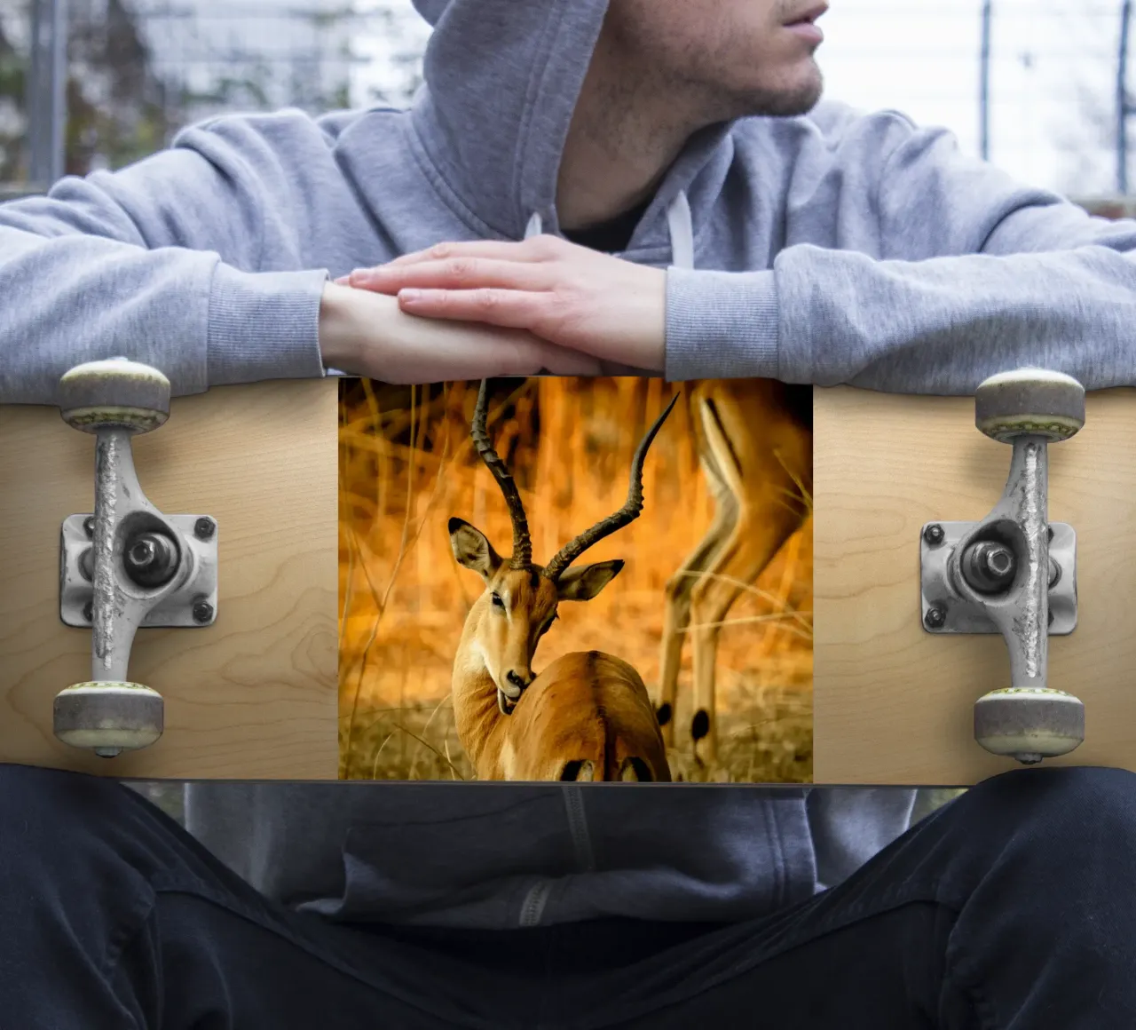 Un bellissimo Impala con corna ricurve adesivo da The Herringstore