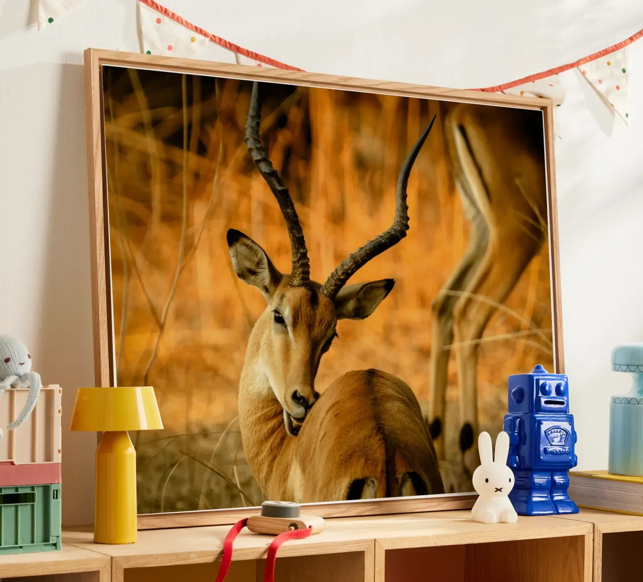 Un bellissimo Impala con corna ricurve plexiglass da The Herringstore