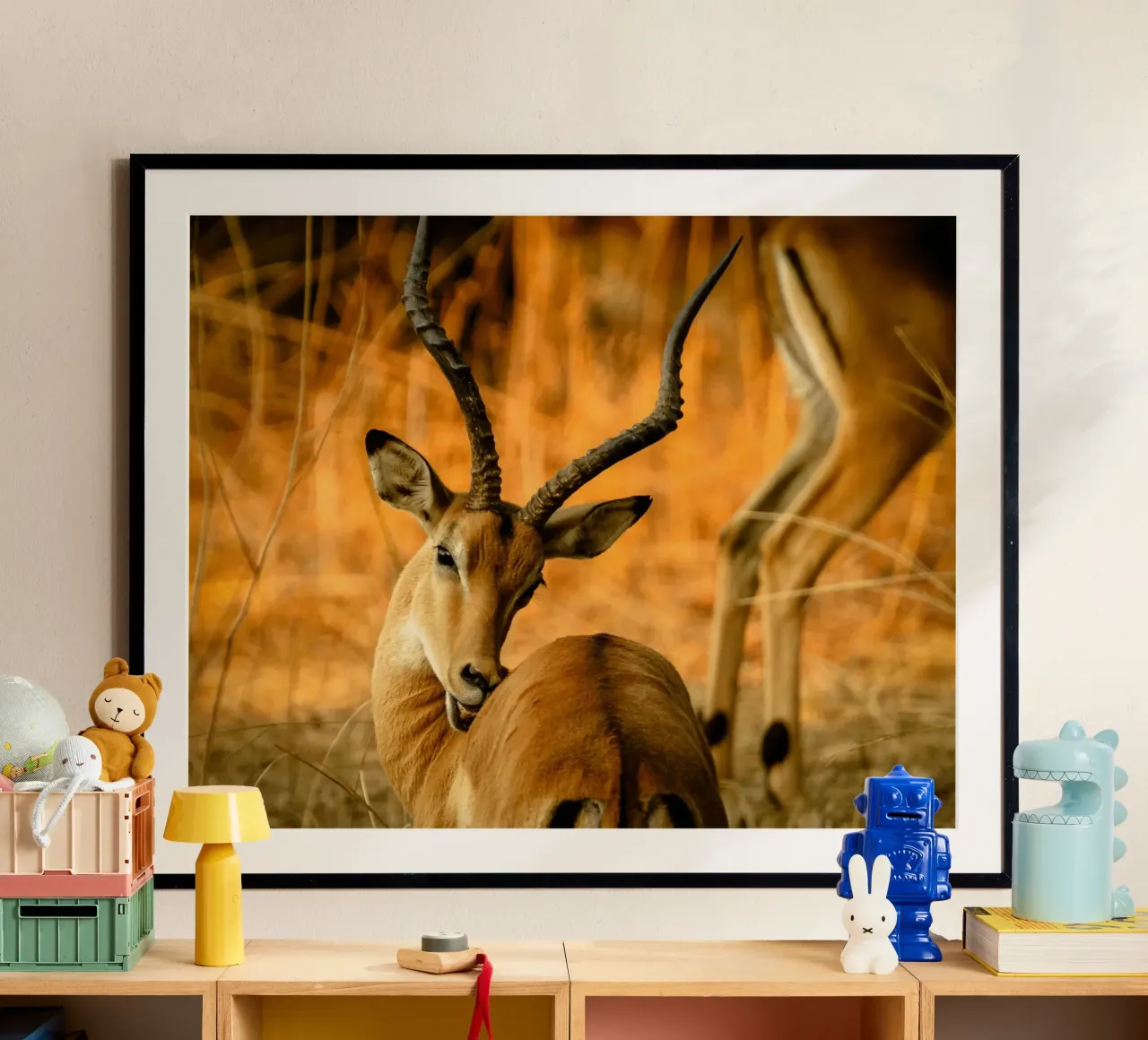 Un bellissimo Impala con corna ricurve carta hahnemühle da The Herringstore