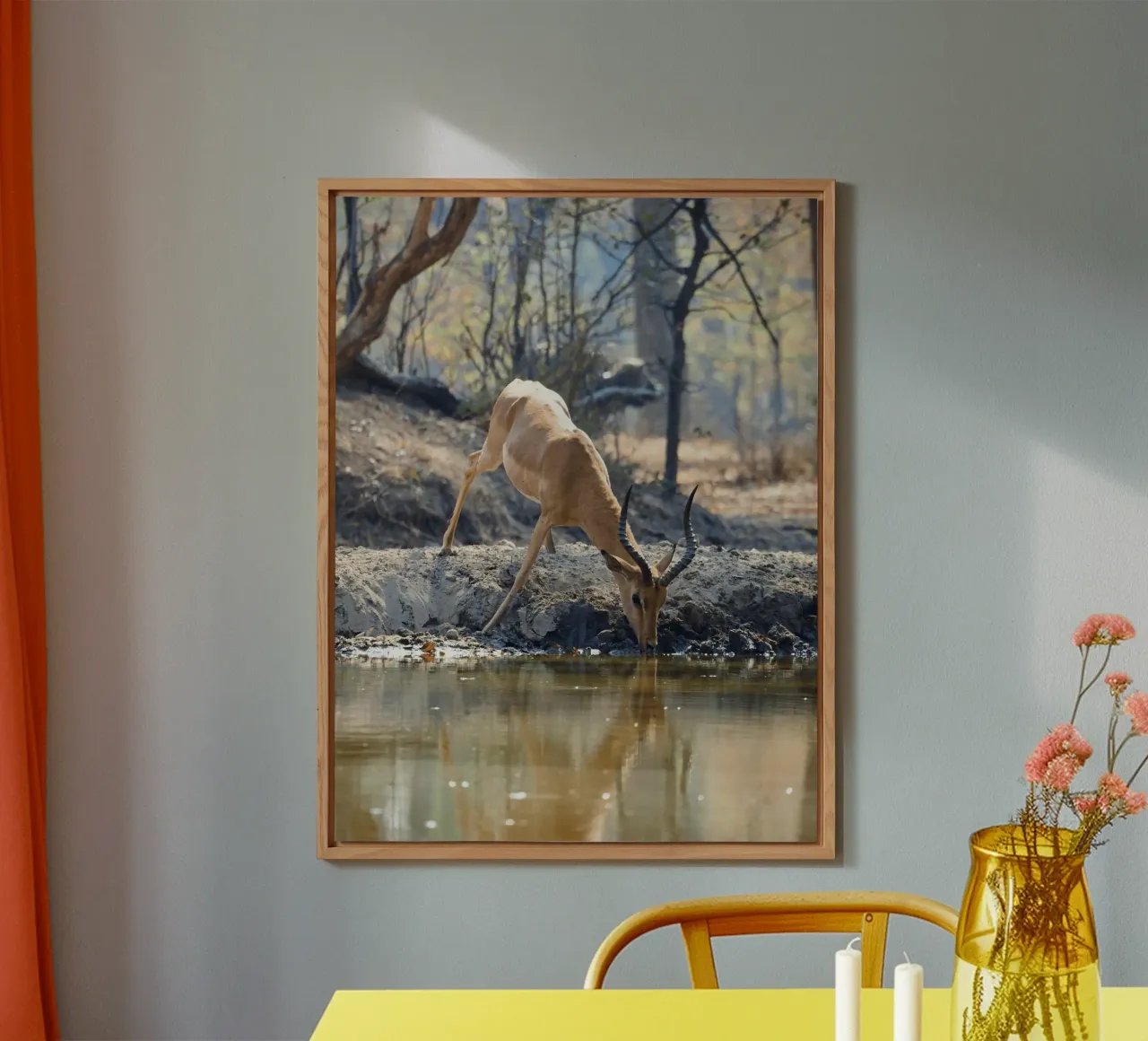 L'antilope beve graziosamente l'acqua alluminio dibond da The Herringstore