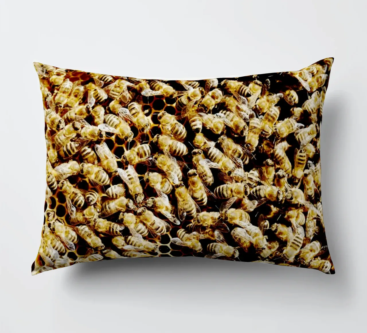 Bienen in Honigwabe (Oberbayern) Kissen von art picture
