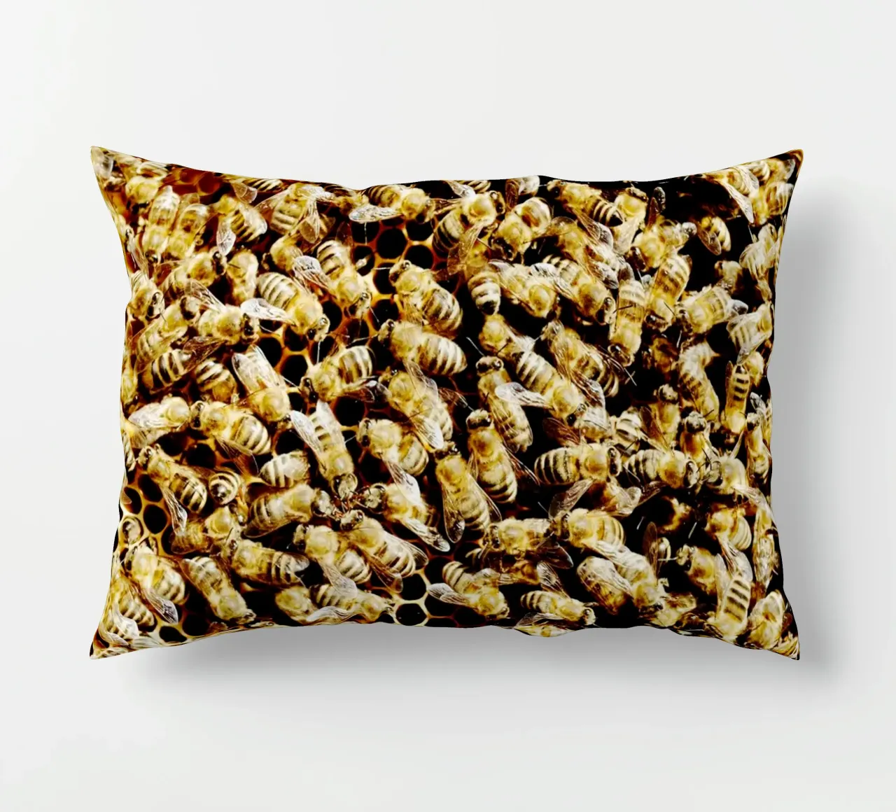 Bienen in Honigwabe (Oberbayern) Kissen von art picture