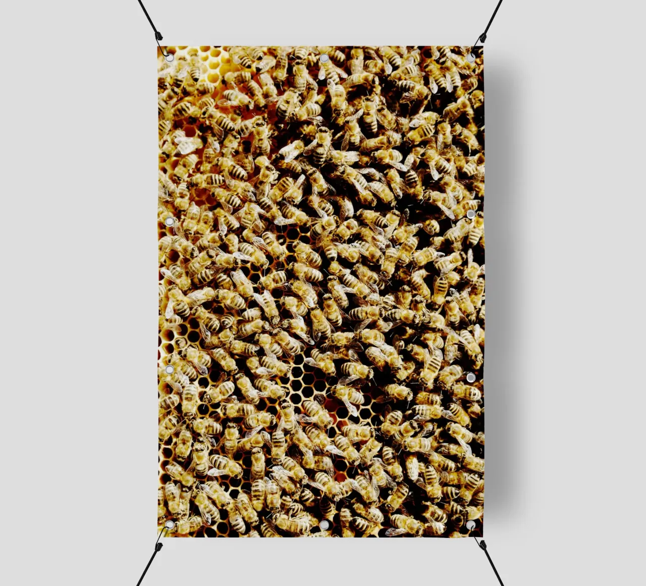 Api in favo (Alta Baviera) telo in pvc da art picture