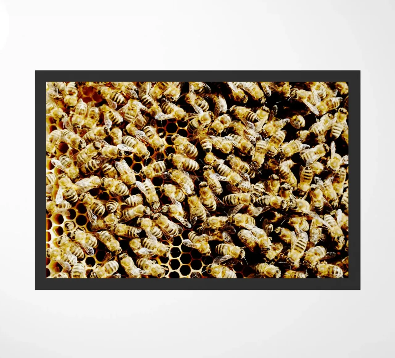 Abeilles en rayon de miel (Haute-Bavière) paillasson de art picture