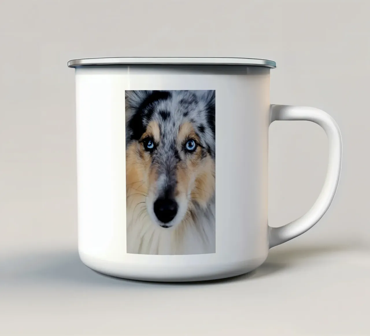 Cane Collie in Alta Baviera tazza in smalto da art picture