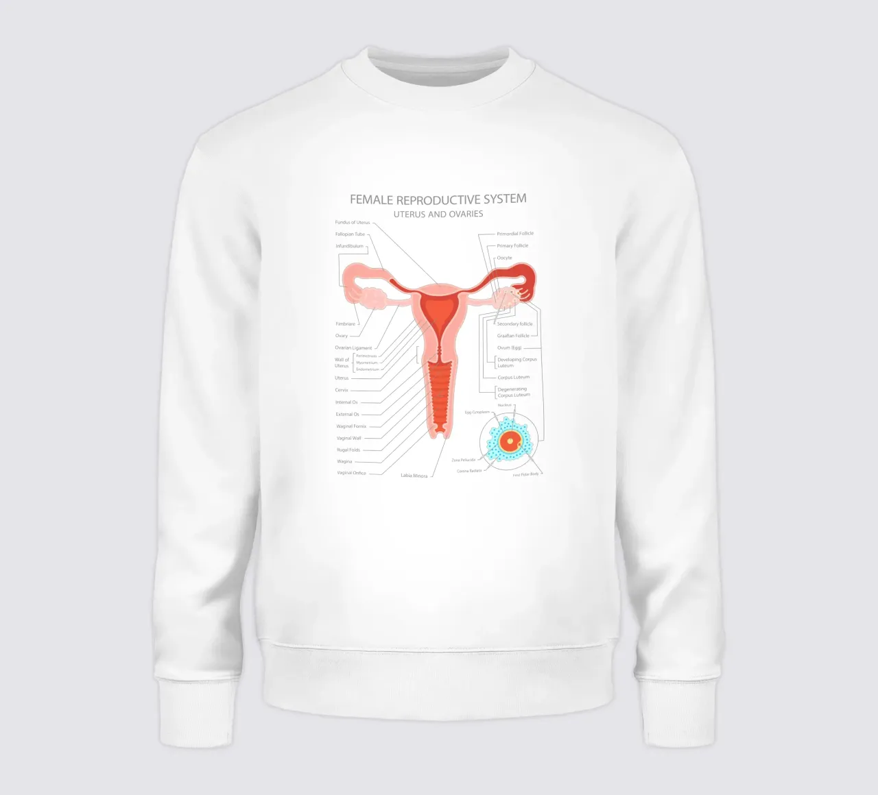 Sistema riproduttivo femminile - Utero e ovaie felpa da Lidia Blomgren