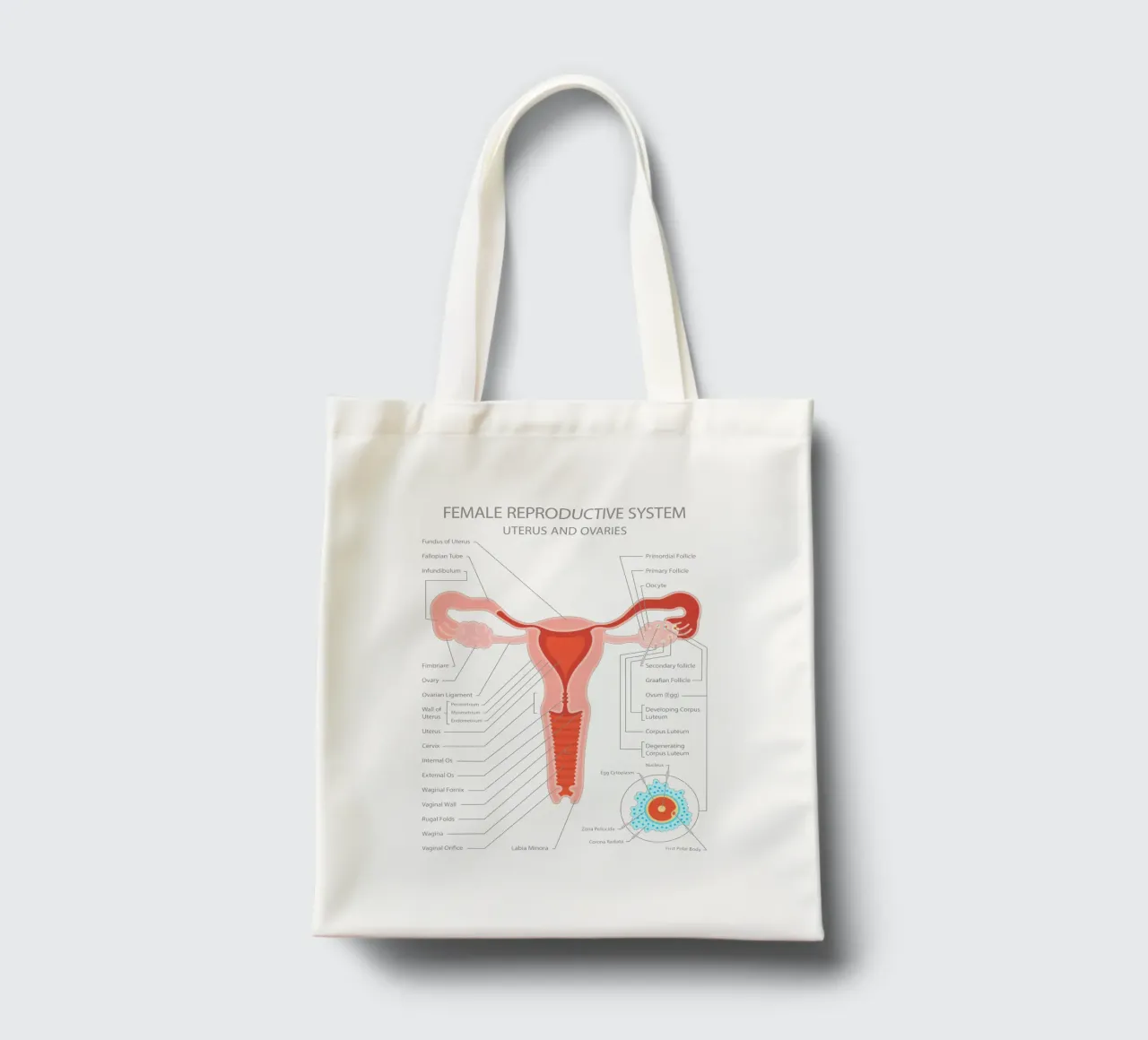 Sistema riproduttivo femminile - Utero e ovaie borsa in juta da Lidia Blomgren