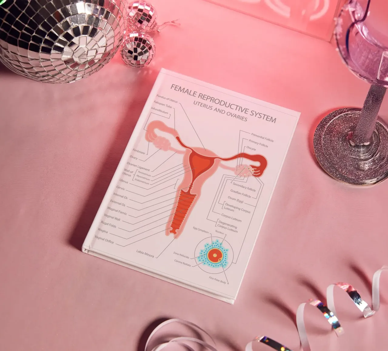 Female Reproductive System - Uterus and Ovaries notebook by Lidia Blomgren