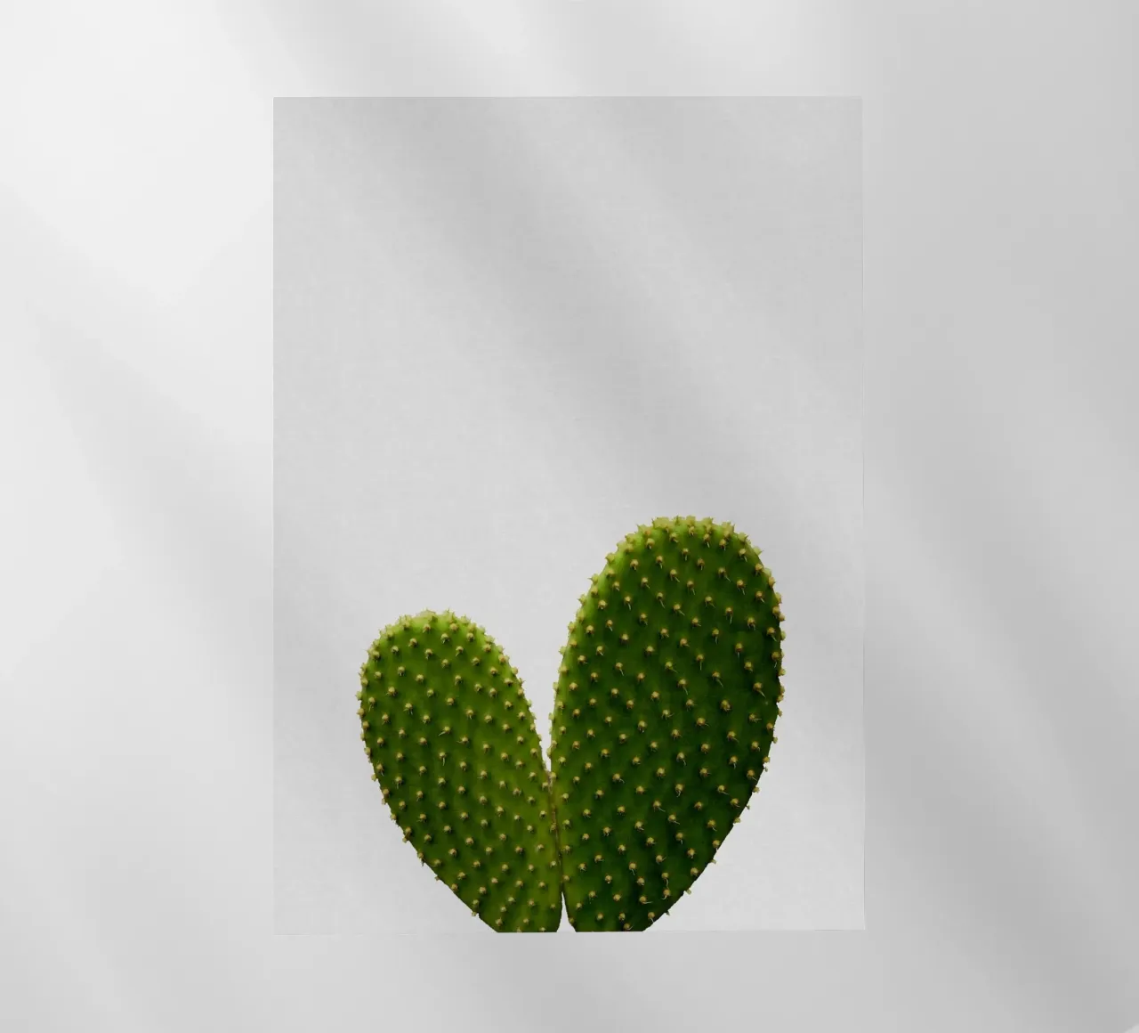 Cactus del cuore pellicola backlit da Orara Studio
