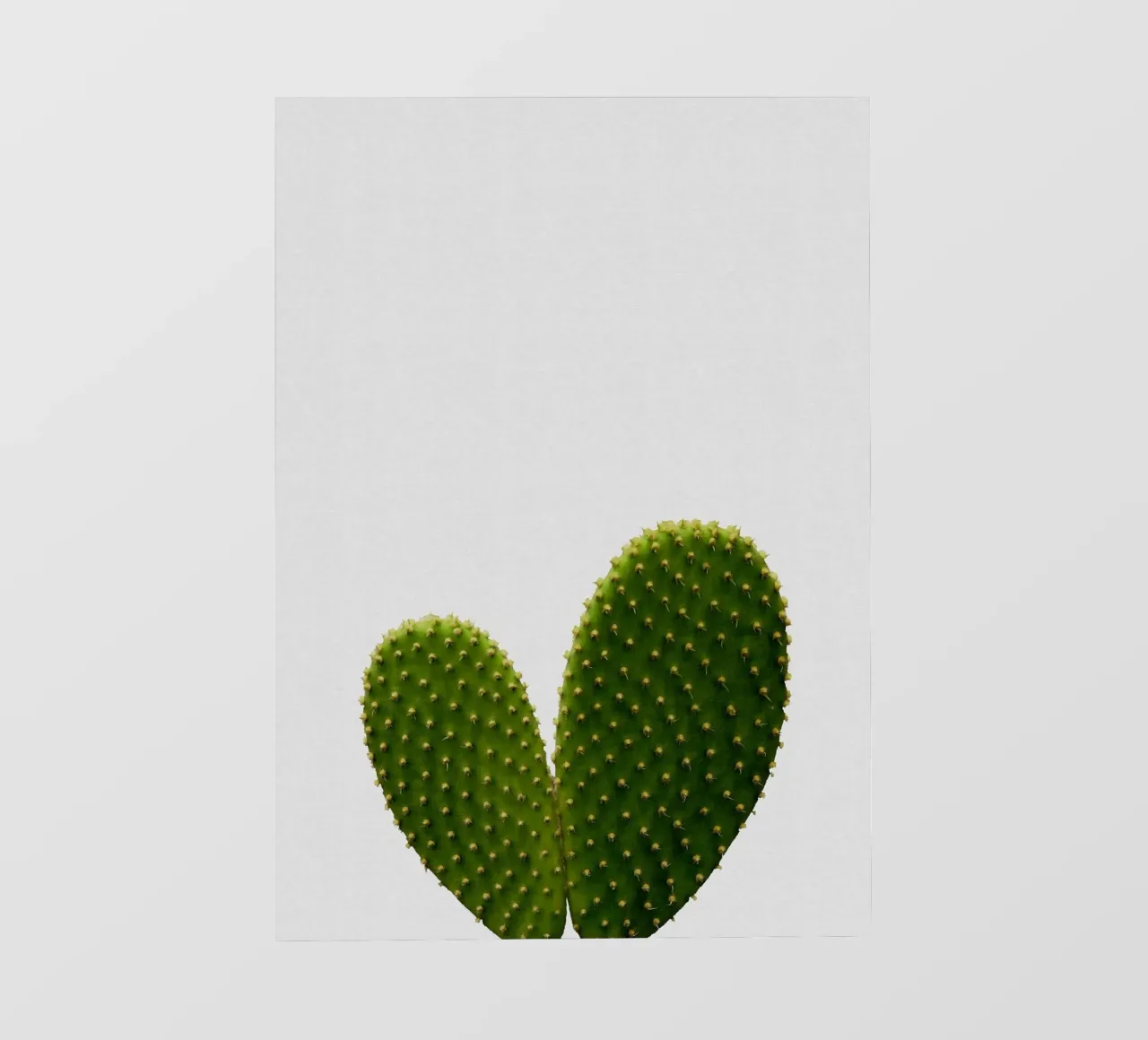 Cactus del cuore pellicola backlit da Orara Studio
